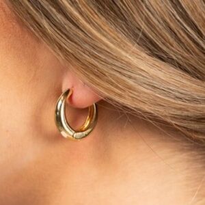 14K Gold Hoop Huggie Earrings (7016)